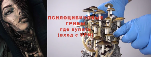 марихуана Приозерск