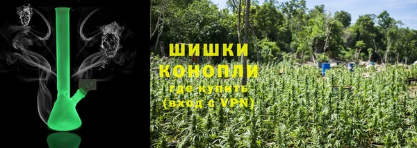 СК Протвино